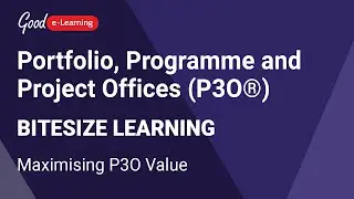Portfolio, Programme and Project Offices (P3O®) Bitesize Learning | Maximising P3O Value