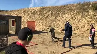 Чемпионат России 2018 карабин IPSC Упражнение 7 Давыдов Д.