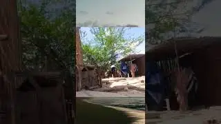 #sport