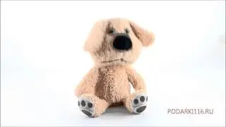 Говорящая собачка