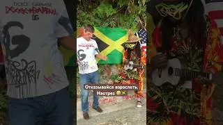 Живи на все деньги #ямайка #жизньвэмиграции #юмор
