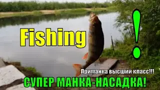 СУПЕР МАНКА-НАСАДКА! Приманка высший класс!!!