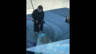 Миссия невыполнима