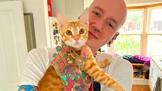 My First FIGHT With My New Cat | Extra Roly