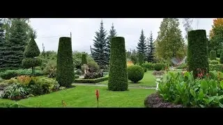 Регулярный сад Николая Дементьева