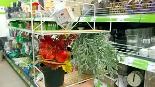 🍊🍂Фикс Прайс🍃Новинки🔥Обзор Полочек🍋🍂