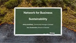 Climate Teaching Series: Network for Business Sustainability (NBS)