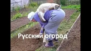 Что  ✅  растет у обычного российского парня в русском огороде БЕЗ прикрас