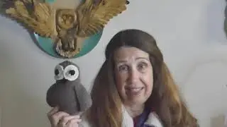 A Shark, an Owl, and a Race!