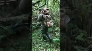 На очередное место шурфа. #shorts #кладоискатели #монеты #лес