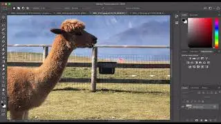 Adobe Photoshop - Remove simple objects from Photos