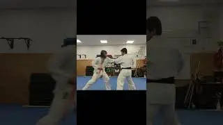 Yama Zuki  for Kyokushin rules - Karate MMA -  