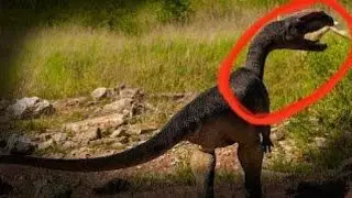5 real dinosaurs caught on camera