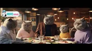 PETSmenu|Not hungry)