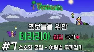[테라리아 공략] 초보들을 위한 공략(는 뻥:혼자 놀기) #7 소소한 꿀팁 + 여왕벌 최소템으로 잡기
