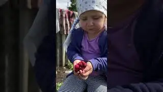 Малинка #ЯжеВика