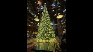 Cruising Disney World Episode 3/Holiday Special