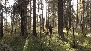 На месте пропавшего поселения.