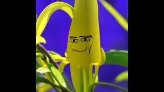 А что если... (загляни в комменты) #shorts #edit