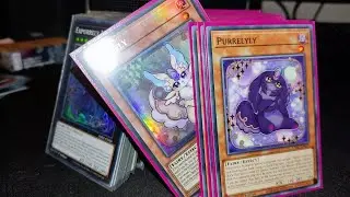 PURRELY DECK PROFILE POST CYAC! - META CONTENDING GREATNESS!