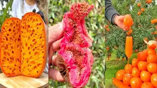 How to Chop and Fruits on The Tree, Learn Chopping way of fruits, Amazing Fruits Cutting Skills 🍉🍊