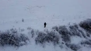 Выходной