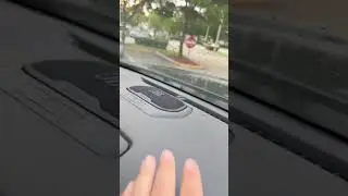 Цены в США на Toyota Tacoma 2025 Hybrid i-forceMAX #автоизсша телеграмм: https://t.me/usfamvans