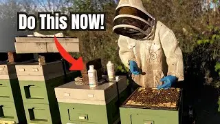 How to treat bees with Api-Bioxal solution trickle treatment