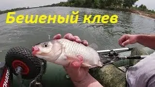 День рыбака.  Отличная рыбалка на кольцо
