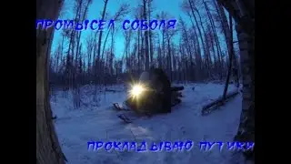 Промысел соболя. Прокладываю путики. Открываю капканы