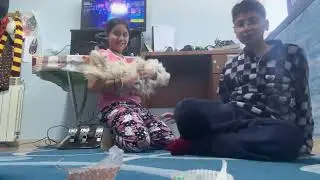 Doggy challenge