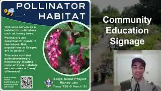 Pollinator Plant Habitats - An Eagle Scout Project to Save the Bees