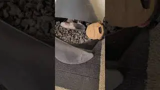 lighting your fireplace at Copper Commons Apartments