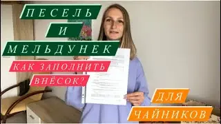 PESEL and MELDUNEK for Dummies. INSTRUCTIONS. How to make? How to fill out the form?