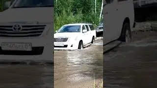 #shortvideo