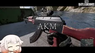 【PUBG】AKMとフェリーを使ってどん勝つが欲しい!!【ONE実況】