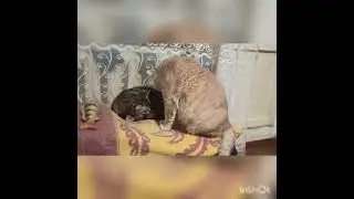 Немного о любви