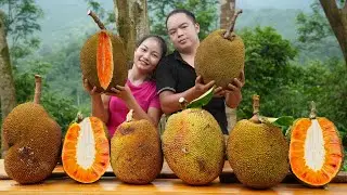2 year living in forest, Harvest jackfruit, pumpkin, squash to market sell. Earn money