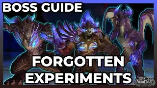 The Forgotten Experiments |  Normal & Heroic Boss Guide | Aberrus, The Shadowed Crucible Raid