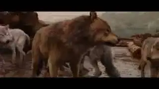 Джейкоб уходит из стаи. Сумерки сага рассвет часть первая.