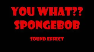 YOU WHAT ?? SPONGEBOB SOUND EFFECT
