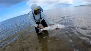 Chasing Bonefish on Molokai with Hallelujah Hou Fishing