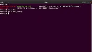 linux for beginners   how to move files to another directory