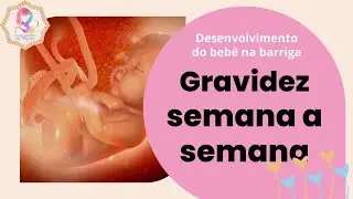 Como o bebê se desenvolve dentro da barriga? Curiosidades mês a mês na gestação.