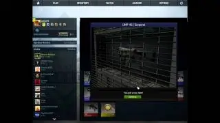 CSGO case opening reality
