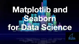 Matplotlib and Seaborn for Data Science