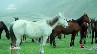 ИДИ БАХОР МУБОРАК.