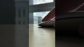 13 июня 2023 г.
