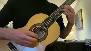 Se Ela Perguntar on Vicente Arias copy by Paul Janssen (Guitarist without a Head)