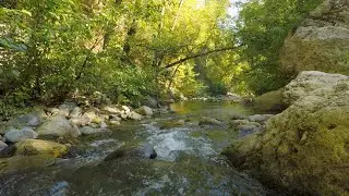 Relaxing Stream Sounds. Water Stream Nature Sound.